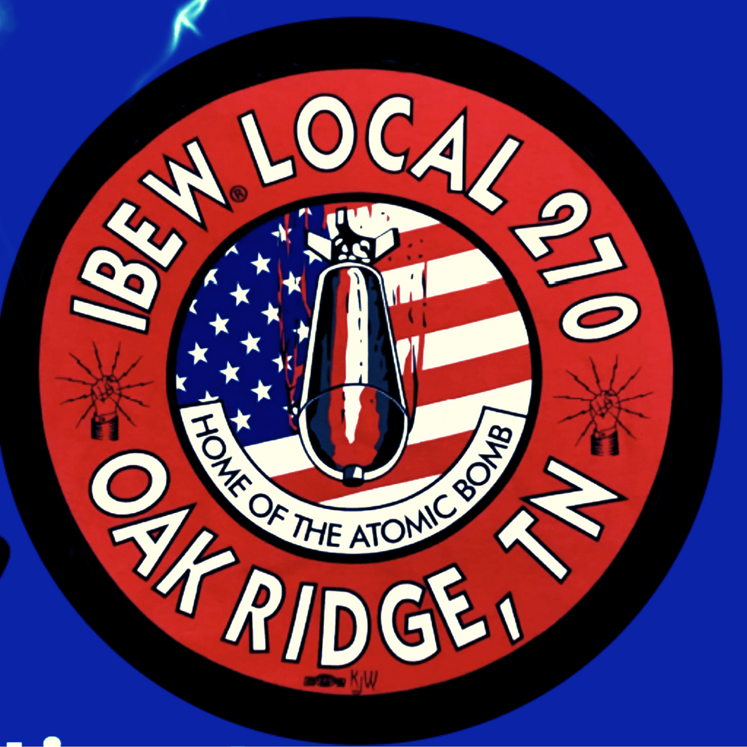 270 ~ Flag Bug Logo